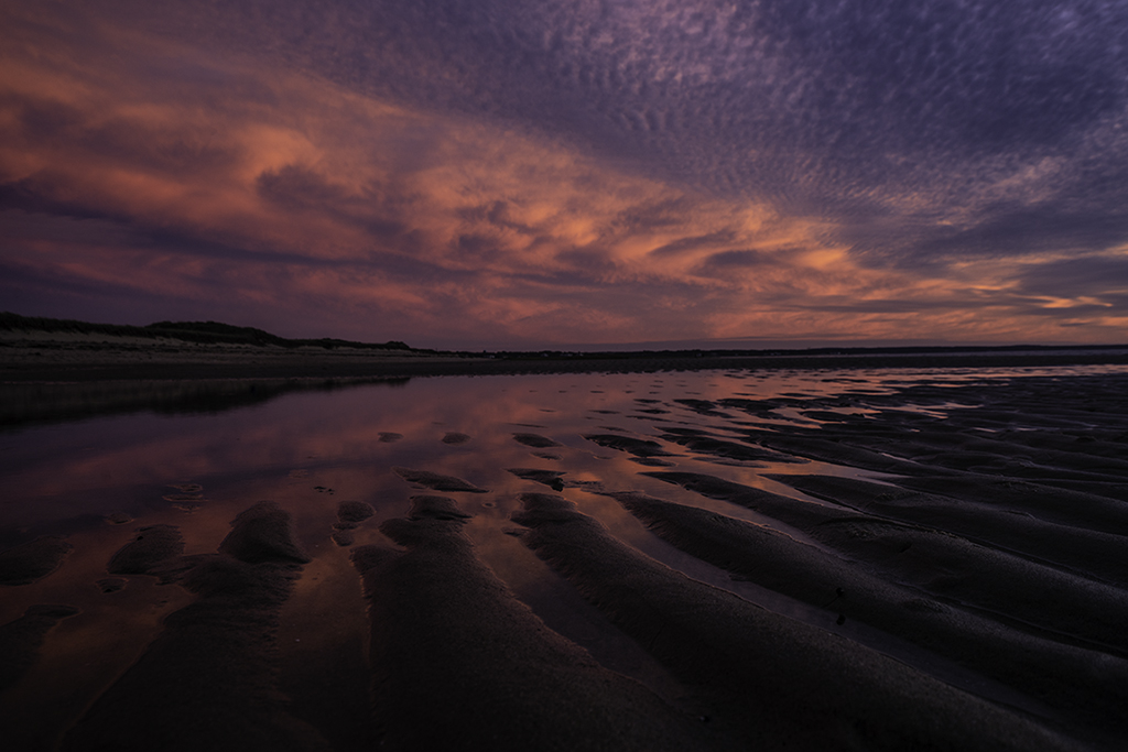 Nature In Class M By Ali McFadzen For Ripples NOV-2018.jpg